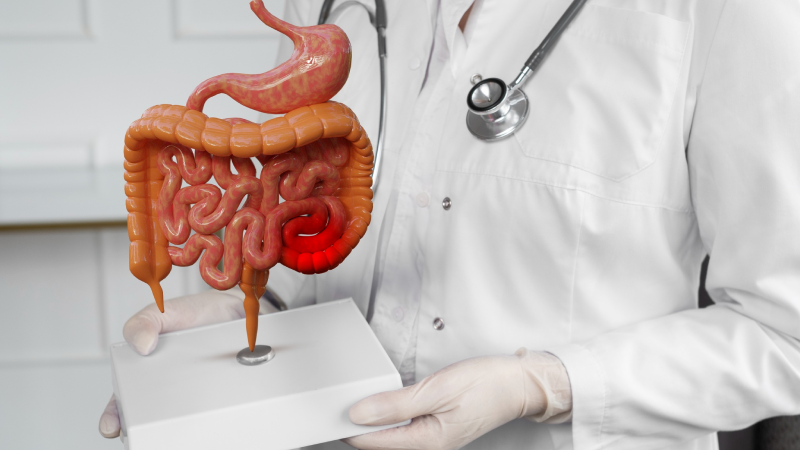 Enfermedades gastrointestinales en verano